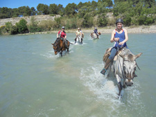 France-Provence-Provence to Camargue Mediterranean Ride